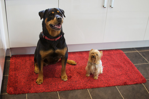 Wellington boots on door mat